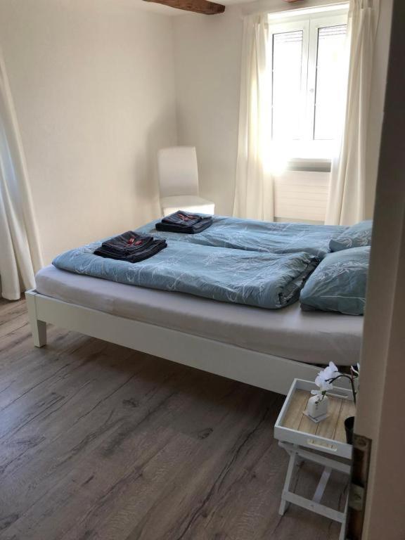 Cozy Apartment Close To Zurich Airport And City Oberglatt Exterior foto