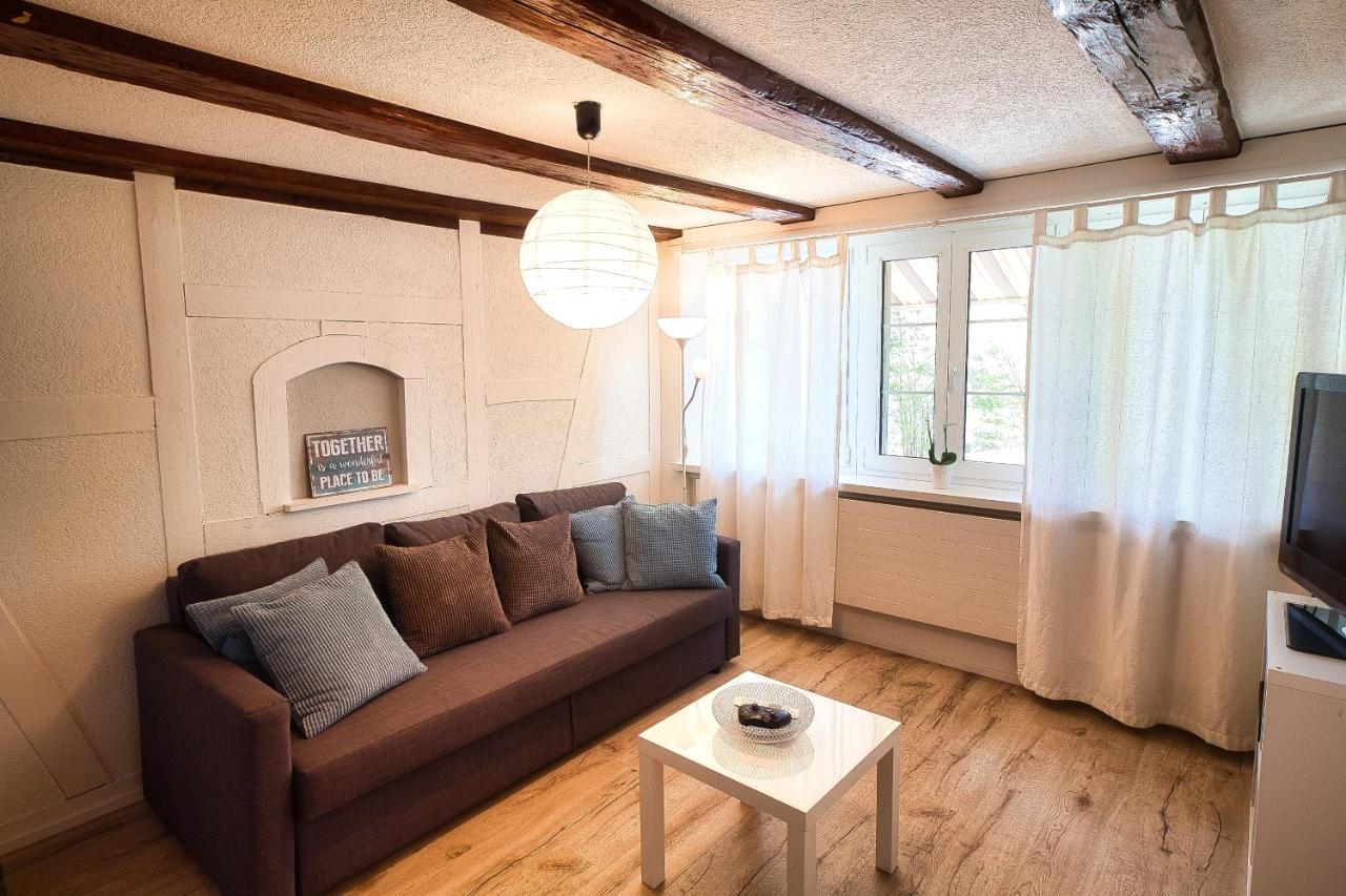 Cozy Apartment Close To Zurich Airport And City Oberglatt Exterior foto